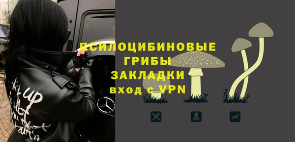 амф Арсеньев
